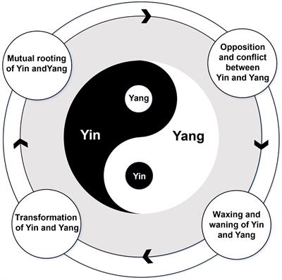 East meets west: integrating Yin-Yang theory with immunology teaching